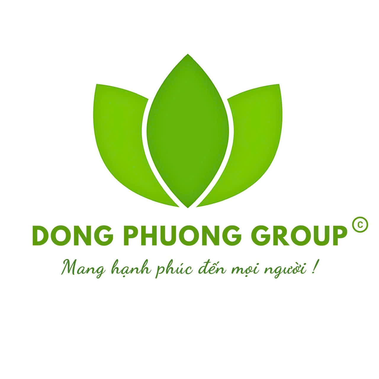 cosmetics.dongphuonggroup.vn/home